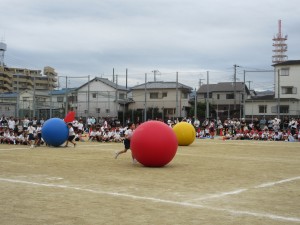 IMG_9187