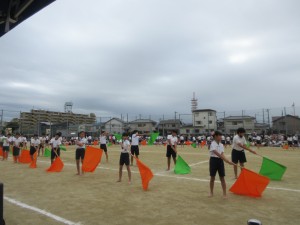 IMG_9210